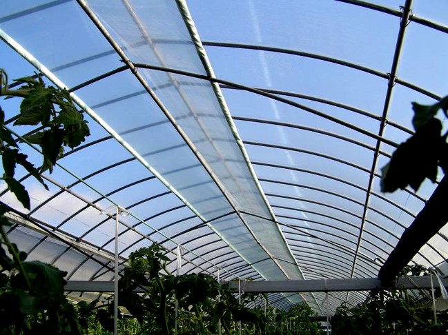 スカイコート - タキロンシーアイ アグリ事業部製品サイト 